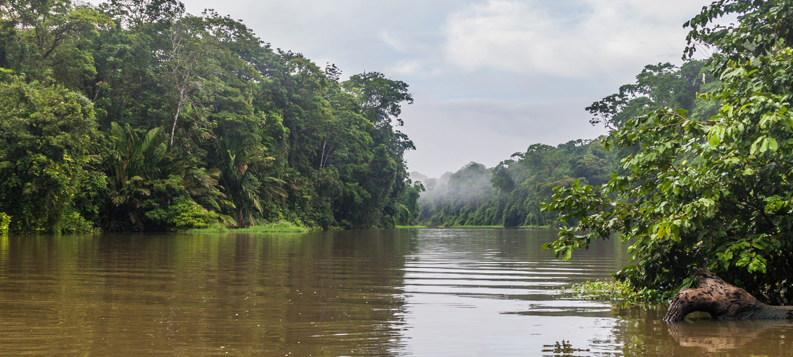 Puerto Limon Shore Excursions and Tours | Greenway Nature Tours