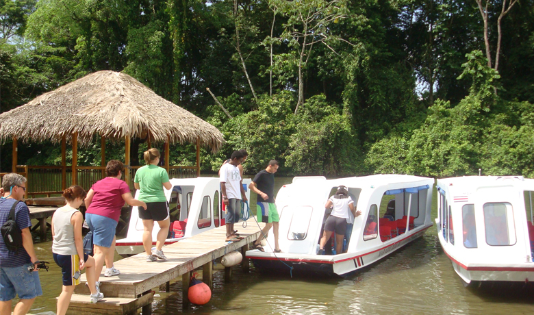 Shore Excursion