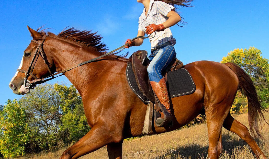 Arenal Volcano horseback riding tour with hot springs