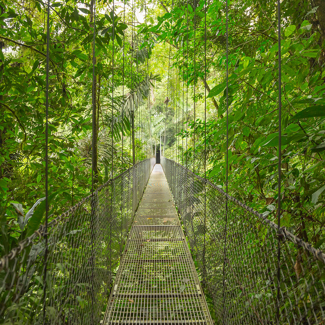 Arenal Volcano Hanging Bridges - Private tour from San Jose