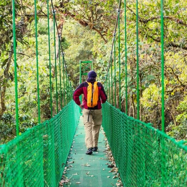 rain forest hanging bridges tour costa rica by Greenway Tours