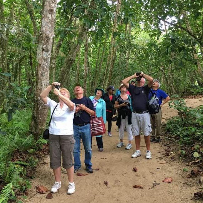 Limon Costa Rica Shore Excursions. Cahuita Park Tour by Greenway Tours