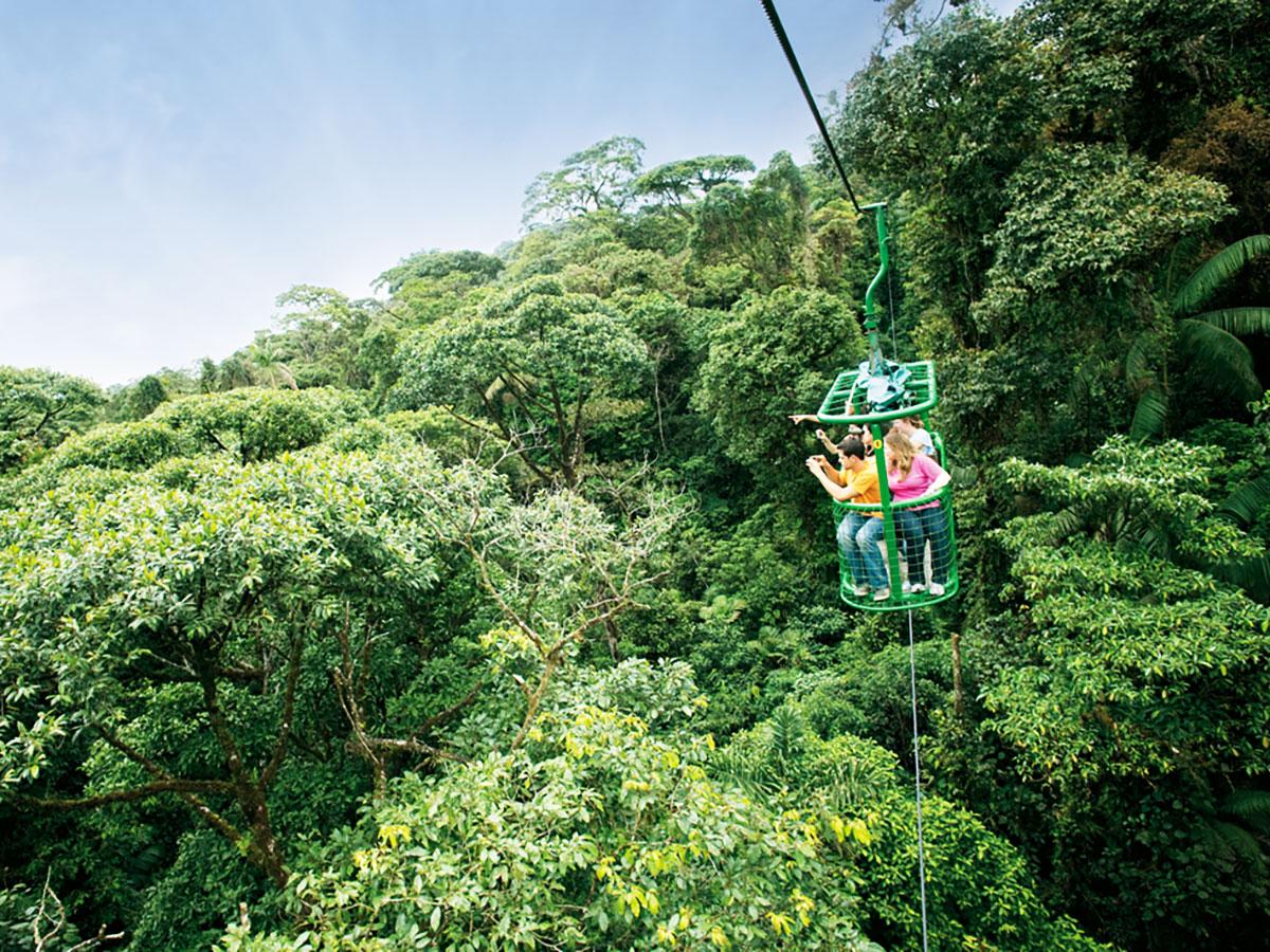 rainforest tours san jose costa rica