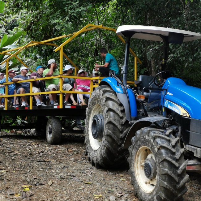 Puntarenas shore excursions rainforest wagon tour