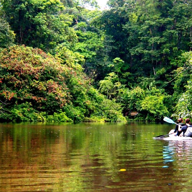 TORTUGUERO PARK COSTA RICA BY GREENWAY TOURS
