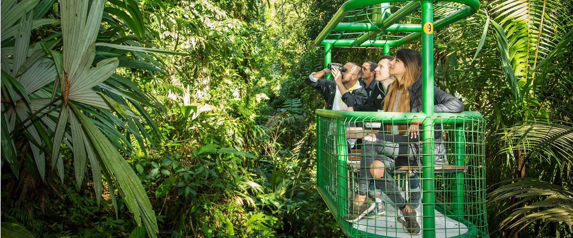 Rain Forest Aerial Tram tour from San Jose