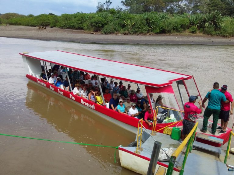 crocodile racing boat