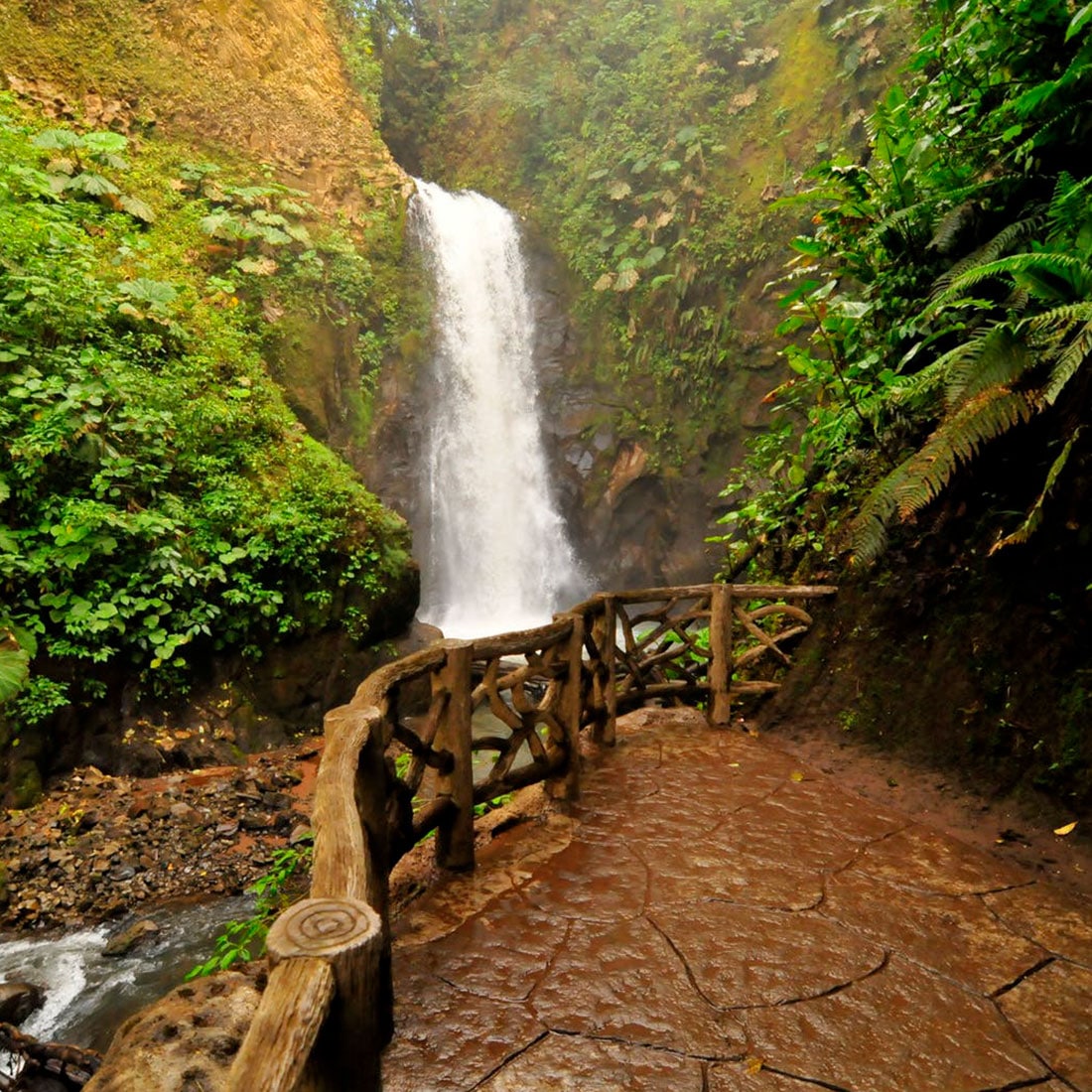 coffee waterfall tour