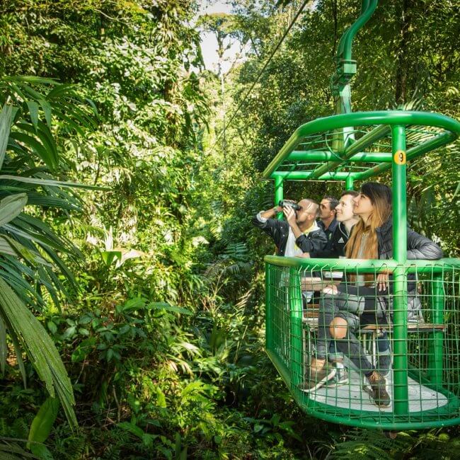 rain forest aerial tram tour by Greenway Tours