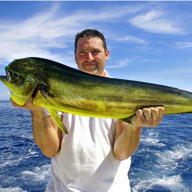 Costa Rica sport fishing full day tour