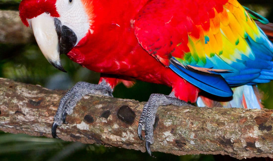 San JOse daily tours