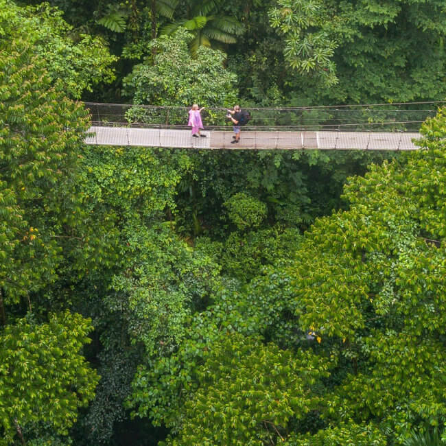costa rica rainforest student travel