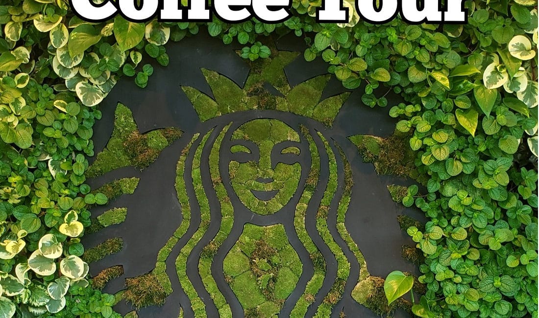 Starbucks Coffee Tour by Greenway Tours