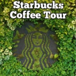 Starbucks Coffee Tour by Greenway Tours