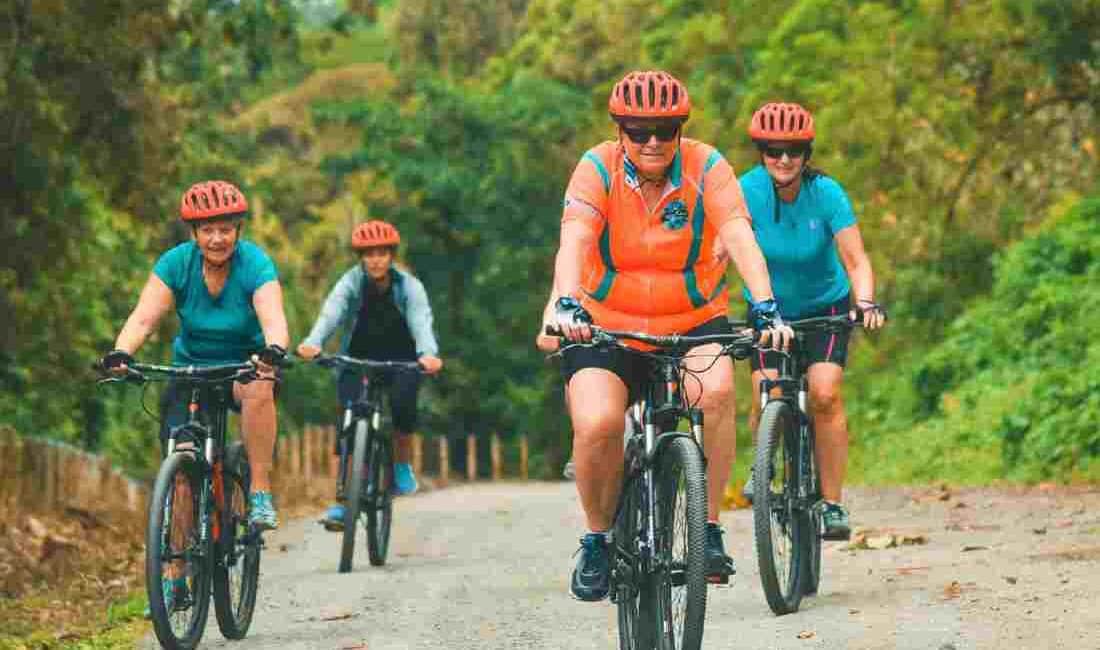 Mountain Bike Safari