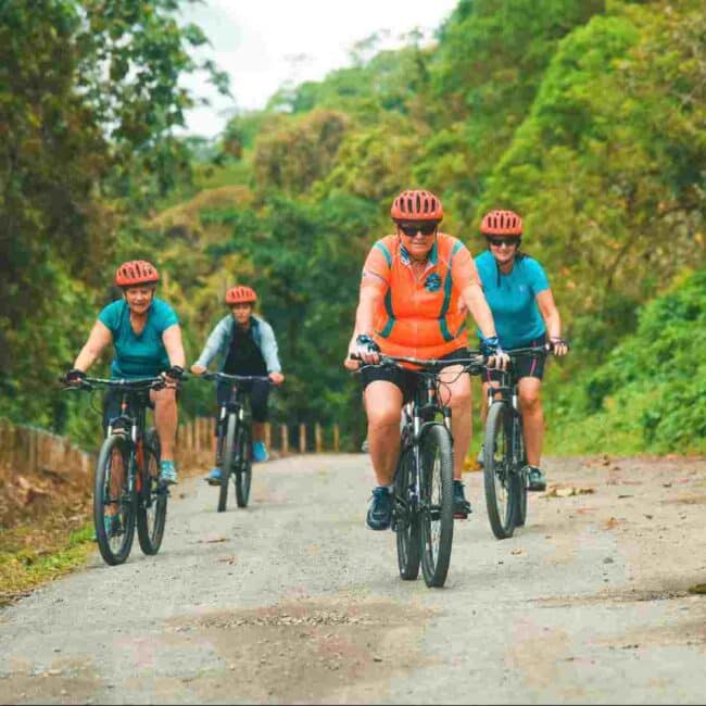Mountain Bike Safari