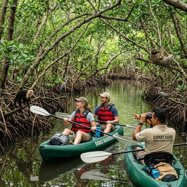 Guided Ocean Pedal Kayak & Wildlife Tour
