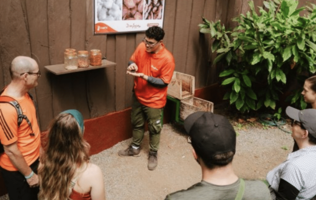 Don Juan Coffee & Chocolate Tour