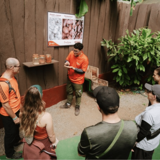 Don Juan Coffee & Chocolate Tour