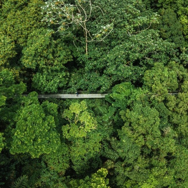 The Monteverde Adventure Hike