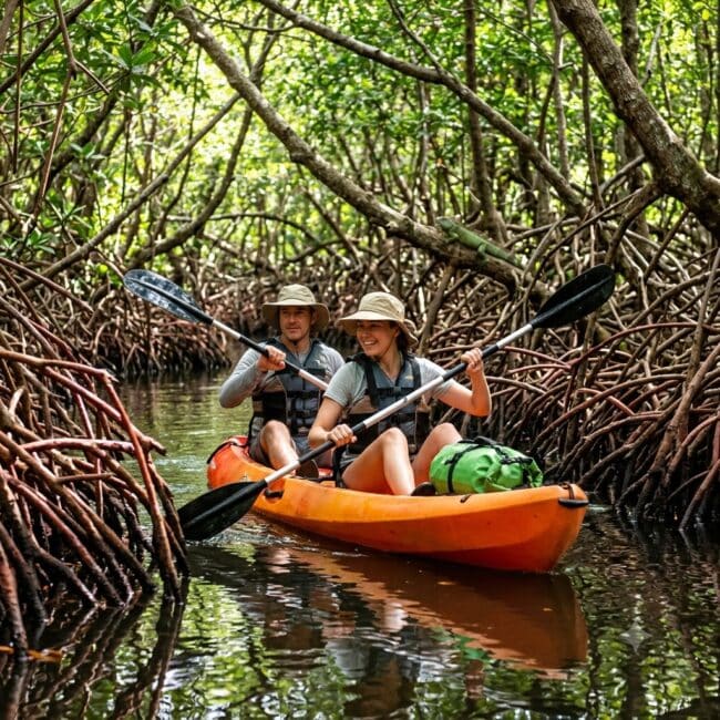 Las Baulas National Park Kayak Tour