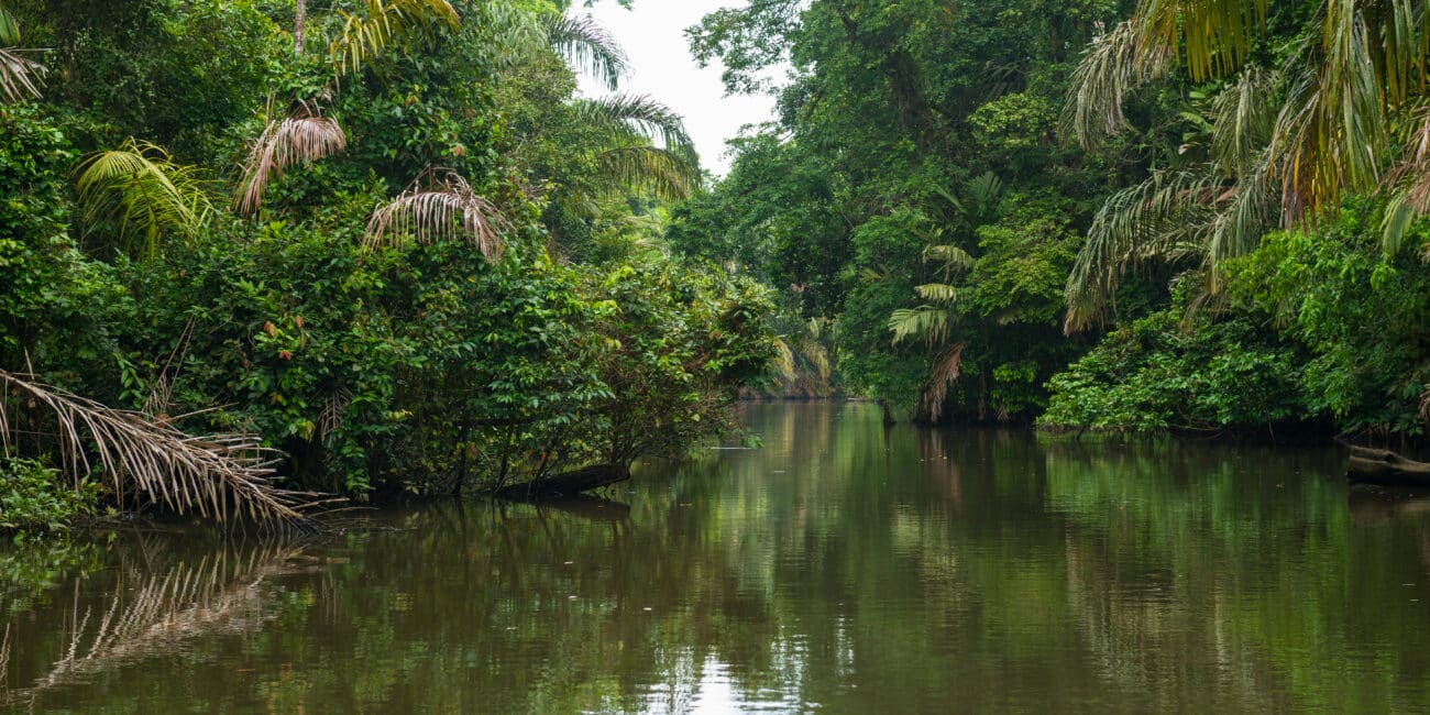 Caño Negro Wildlife Safari