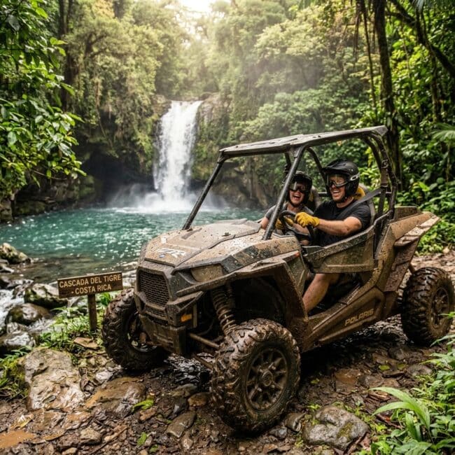 Rainforest and Waterfall Buggy Tour