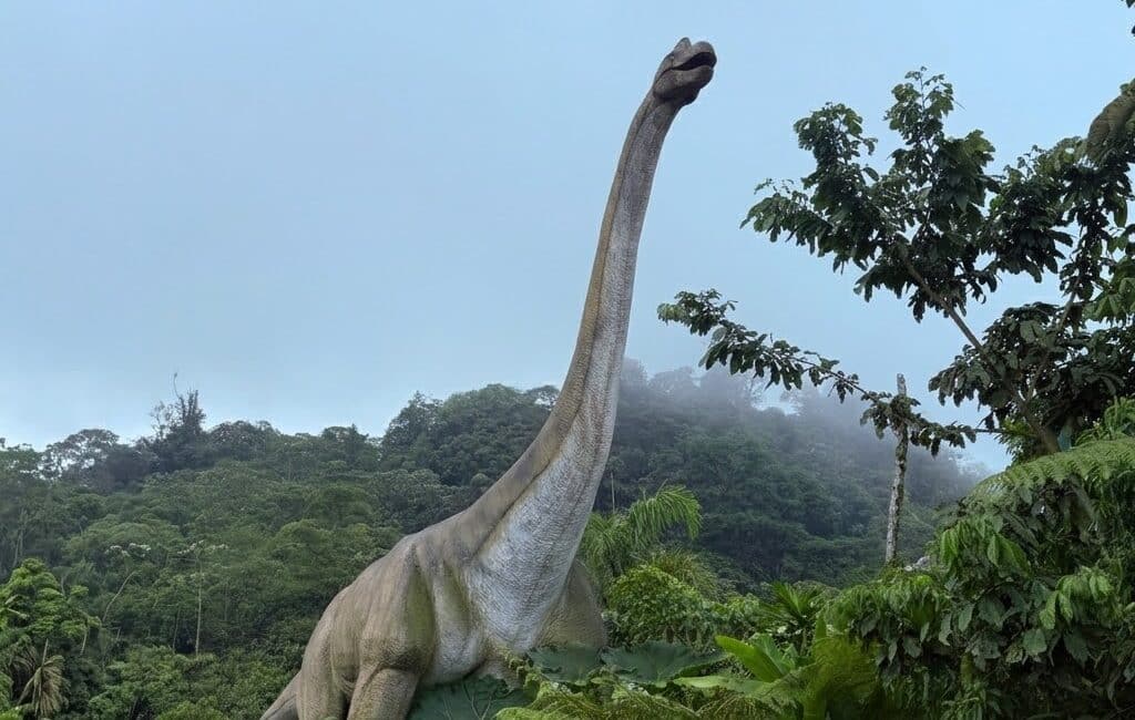 Dinoland Jurassic Rainforest Expedition