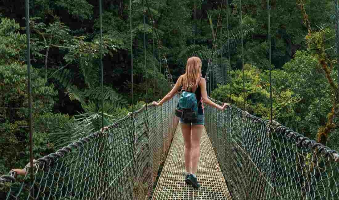 Monteverde Cloud Forest & Hanging Bridges
