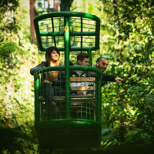 Rainforest Aerial Tram Tour (Shared Tour)