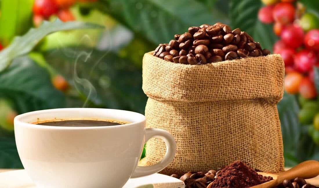 Puntarenas coffee tour shore excursion