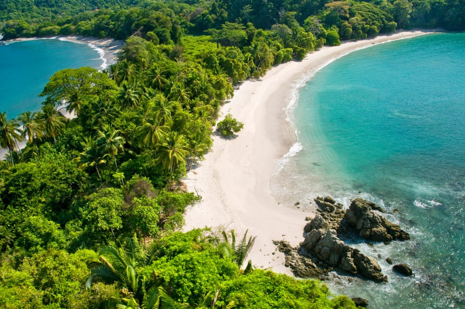 Ultimate Guide to Manuel Antonio National Park: Trails, Beaches, and Capacity Rules